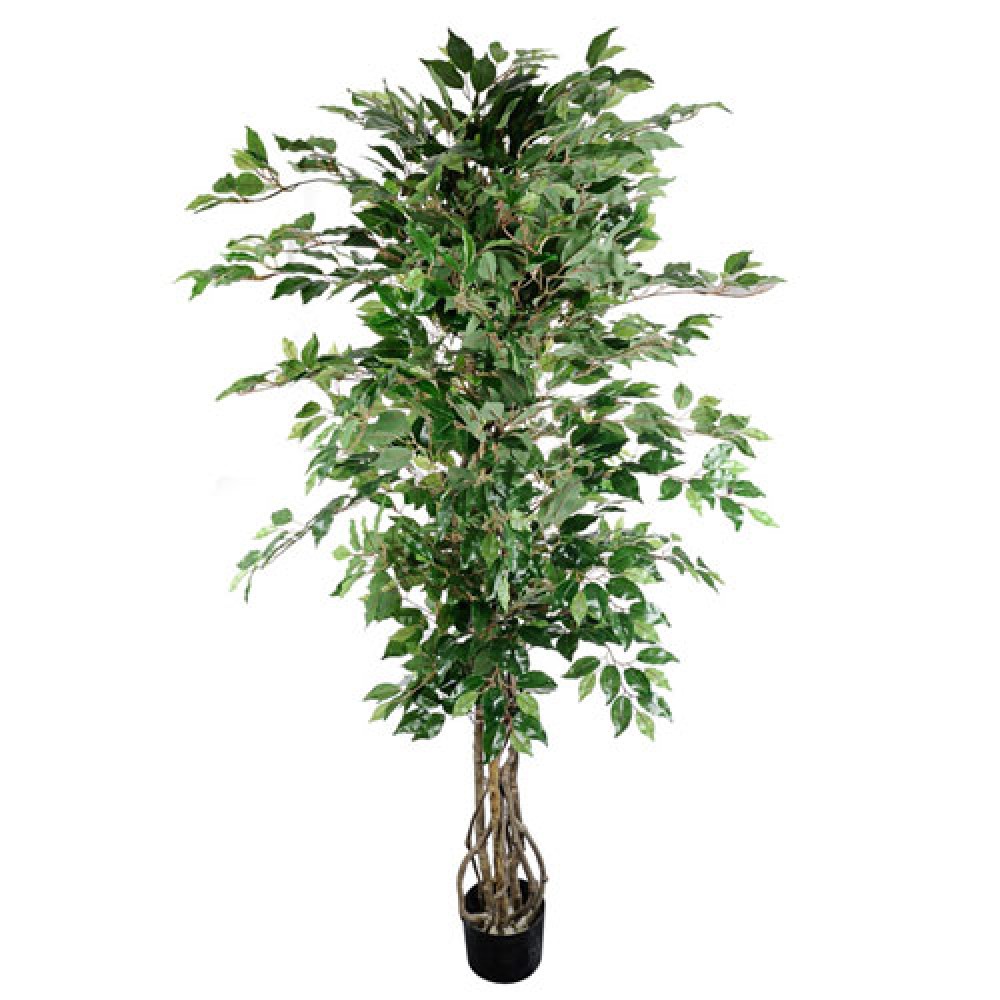 Artificial Ficus Tree 185cm FIC009